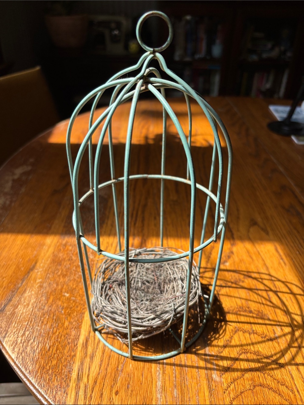 Decorative Metal Birdcage 10”tall